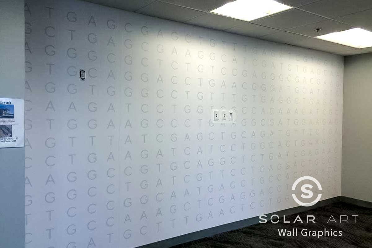Custom wall graphics for office spaces